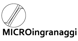 MICROINGRANAGGI srl